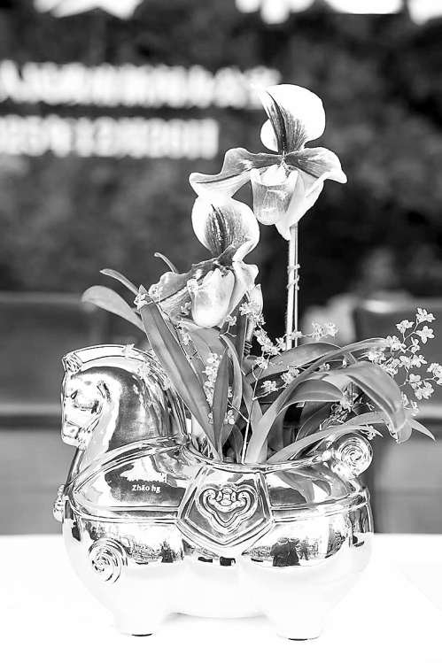 口彩好的“五花马”系列盆栽。 何建勇 摄