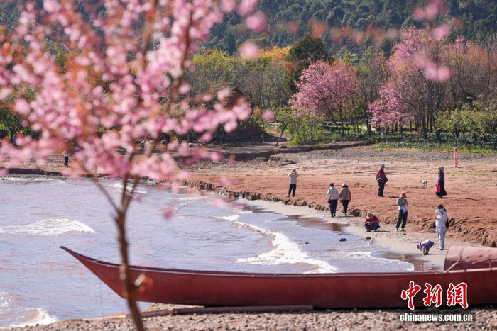 中新社记者 张祥毅 摄