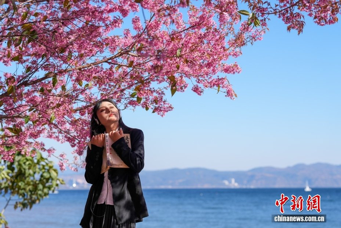 中新社记者 张祥毅 摄