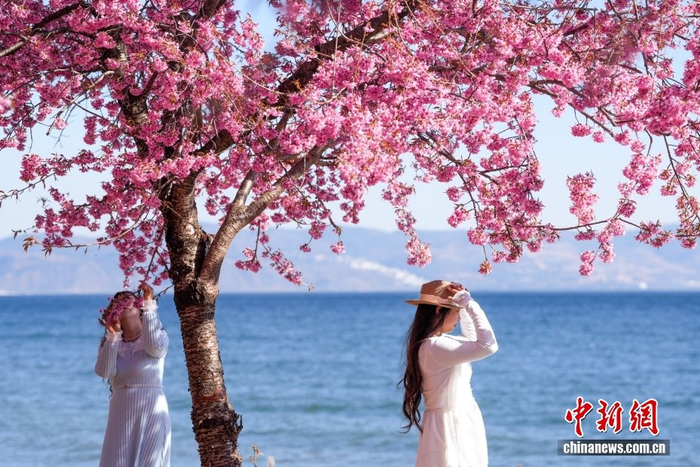 中新社记者 张祥毅 摄