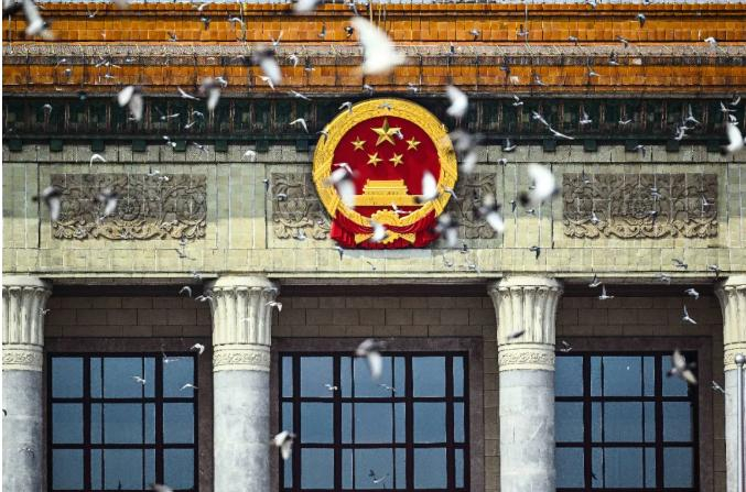 这是纪念大会现场放飞鸽子。新华社记者 张宏祥 摄