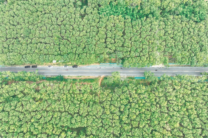 航拍环热带雨林国家公园旅游公路琼中段。新华社记者 张丽芸 摄