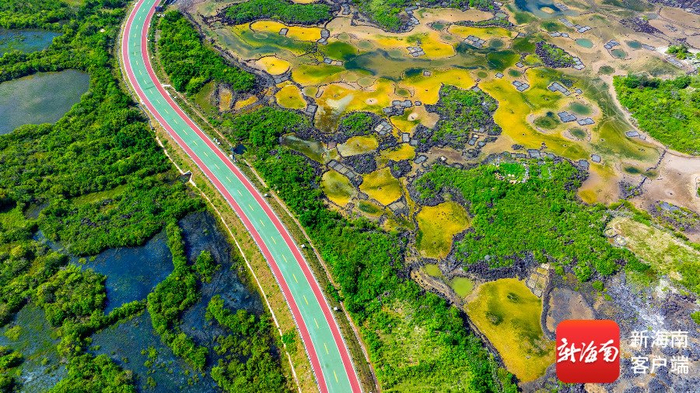 海南环岛旅游公路。许凯迪 摄