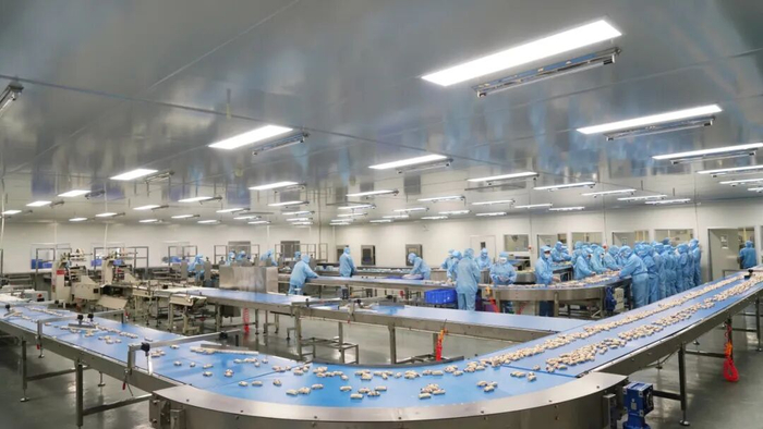 湖北钟祥金源食品股份有限公司生产现场。张友华 摄