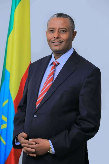 菲特尼·提苏玛