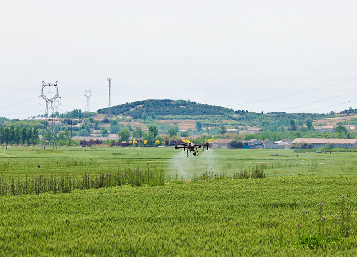 　　山东日照：无人机喷洒农药护航万亩麦田
