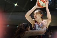 珀斯山猫74比77不敌堪培拉首都 韩旭20投12中爆砍30分15篮板3盖帽