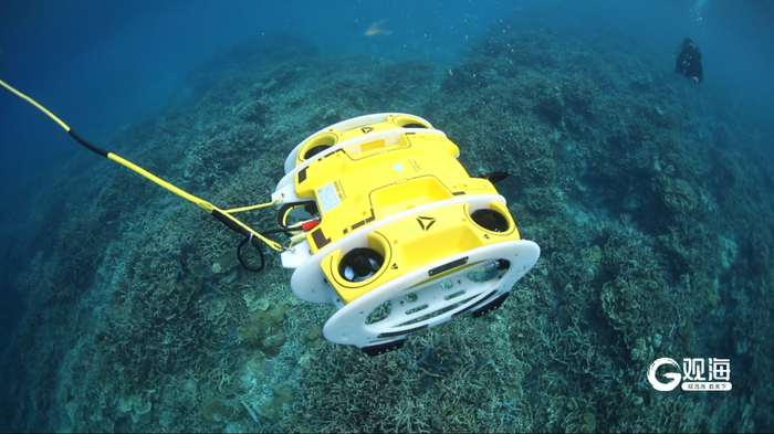 罗博飞研发的海洋机器人通过在线监测系统，助力海南海洋生态修复。