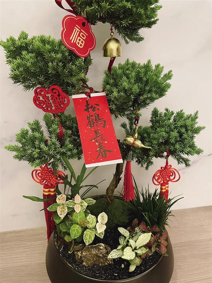 将盆栽造景融入年宵花