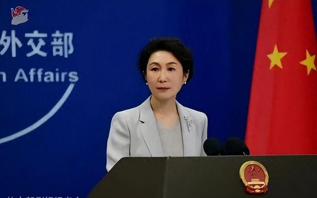 毛宁 资料图 图源：外交部网站