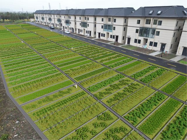 张堰镇留溪雅苑共享菜地效果图