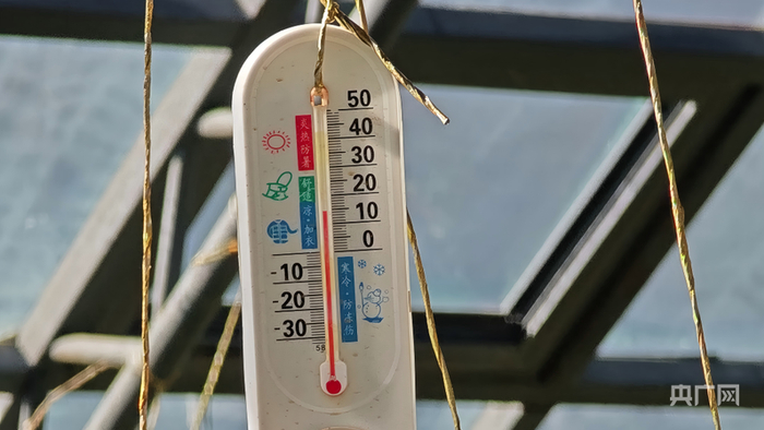 大棚内温度保持在10℃以上