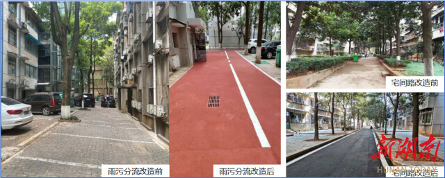 （改造前后对比图。 社区供图）