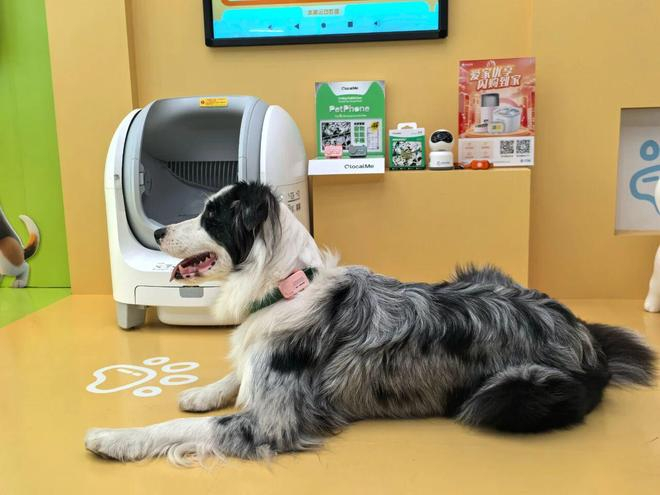 ▲PetPhone