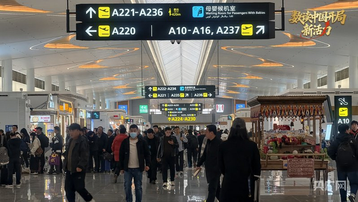元旦假期，乌鲁木齐天山国际机场迎来客流高峰  （央广网发  骆俊峰  摄）