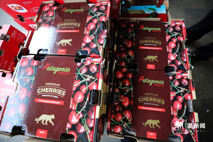 车厘子是当下水果市场的“主力选手”。潮新闻 记者 汪驰超 摄