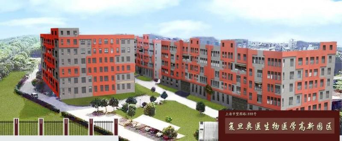 图：现场实拍图