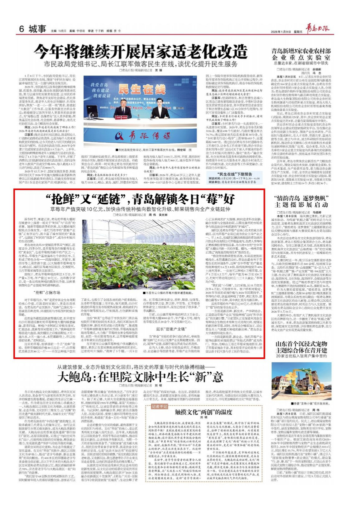 青岛日报2026年1月9日6版