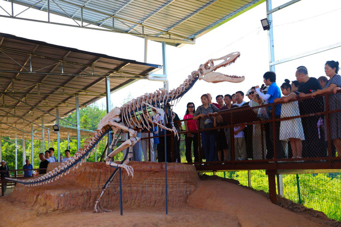 ▲游客在重庆市黔江白垩纪恐龙遗址公园参观。 黔江区委宣传部供图