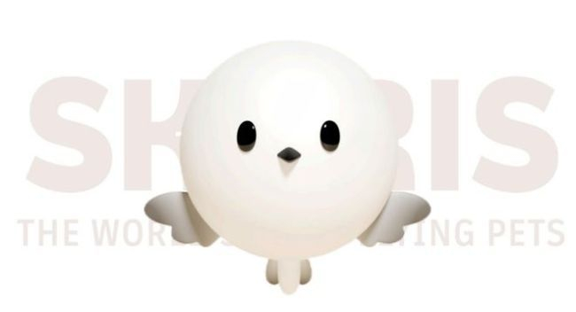 图源：Skyris