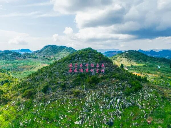 石头缝里刨穷根，漠上花开向未来。西北勒乡 供图