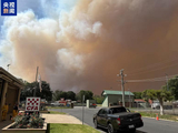 丛林大火蔓延 澳大利亚维多利亚州进入灾难状态