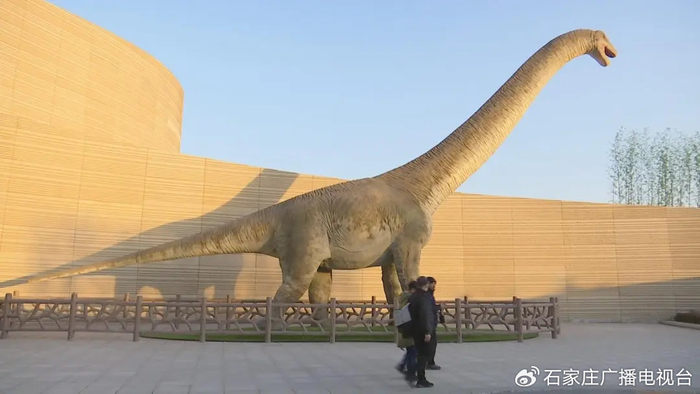 来源：河北文旅公共频道、河北地质大学博物馆