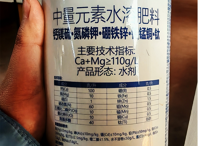 植物对钙肥需求较高（作者拍摄）