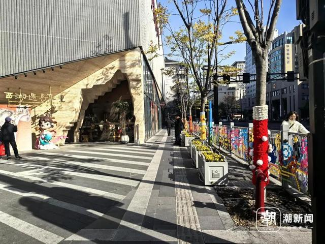 文三路行道树的新年装扮。记者 陈颖 摄 