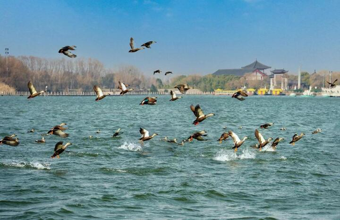 圖源：溱湖文旅