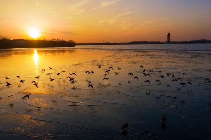 圖源：溱湖文旅