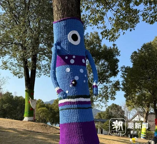 湘湖一棵穿着“毛衣”的大树。记者 陈颖 摄 