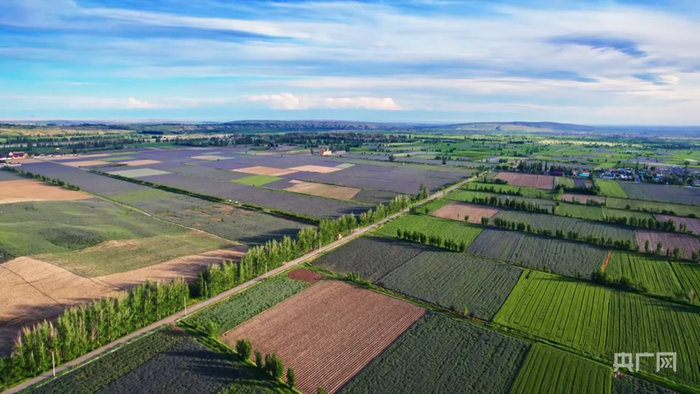 土溝井村良田俯瞰（央廣網(wǎng)發(fā)?武威市融媒體中心供圖）