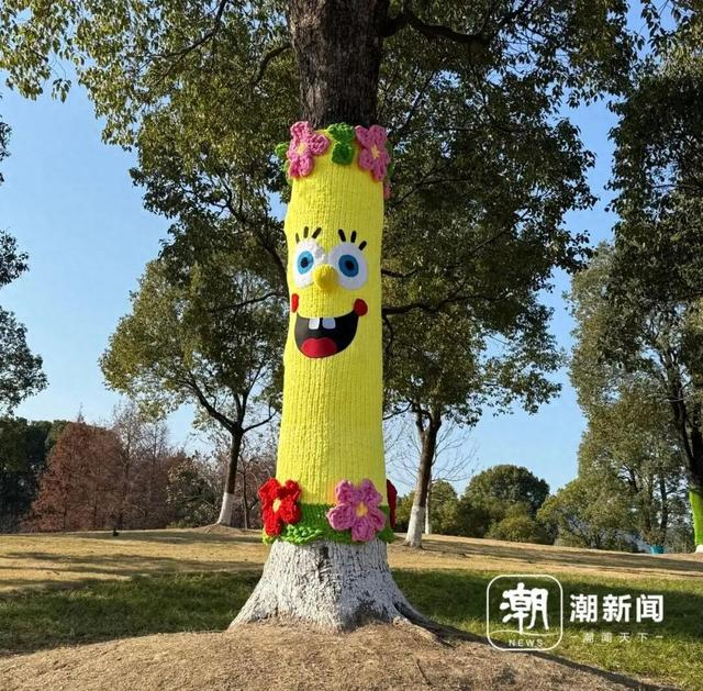 湘湖穿着“毛衣”的大树。记者 陈颖 摄 