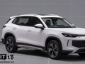 两种外观，一汽-大众探岳 L PHEV 插混中型 SUV 申报