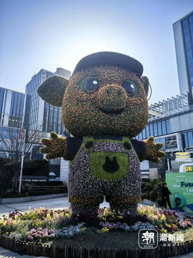 立体花坛。记者 陈颖 摄 