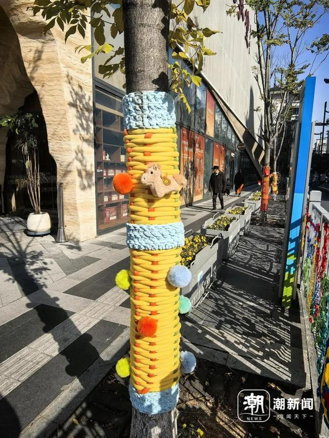 文三路行道树的新年装扮。记者 陈颖 摄 