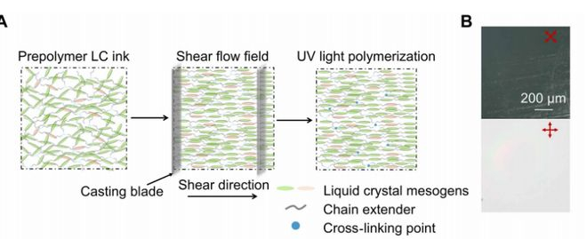 （来源：https://www.science.org/doi/10.1126/sciadv.aeb2289）