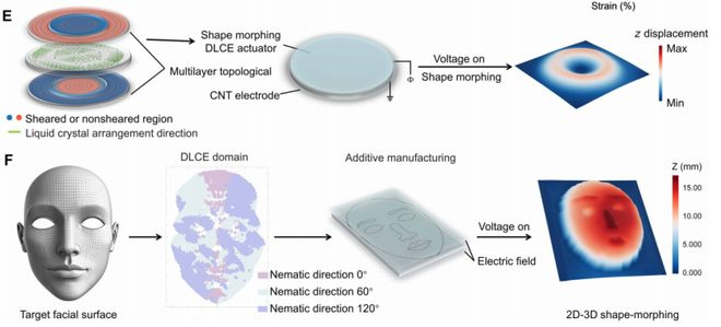 （来源：https://www.science.org/doi/10.1126/sciadv.aeb2289）