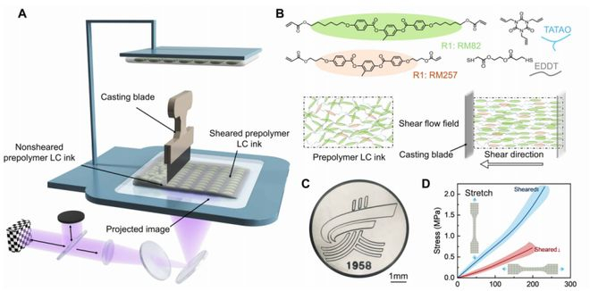 （来源：https://www.science.org/doi/10.1126/sciadv.aeb2289）