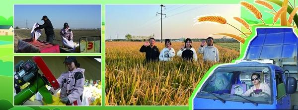 兄妹四人的田間生活。謝勛章/攝