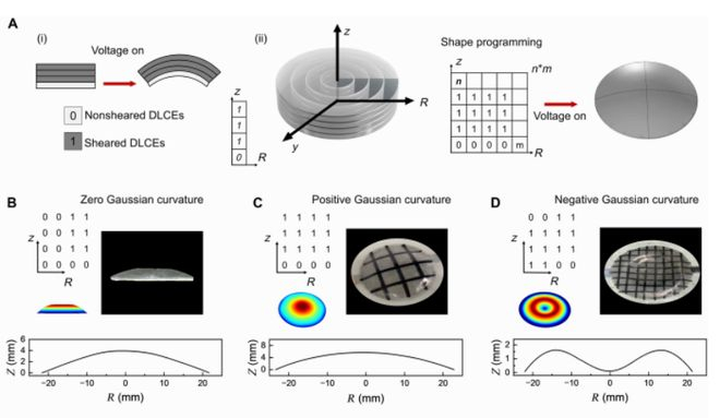 （来源：https://www.science.org/doi/10.1126/sciadv.aeb2289）