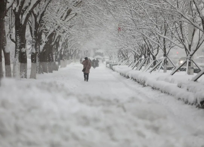 △2026年1月11日，山东威海迎来强降雪，市政、公路、环卫等部门连夜清雪，市区主干道路保持通畅。