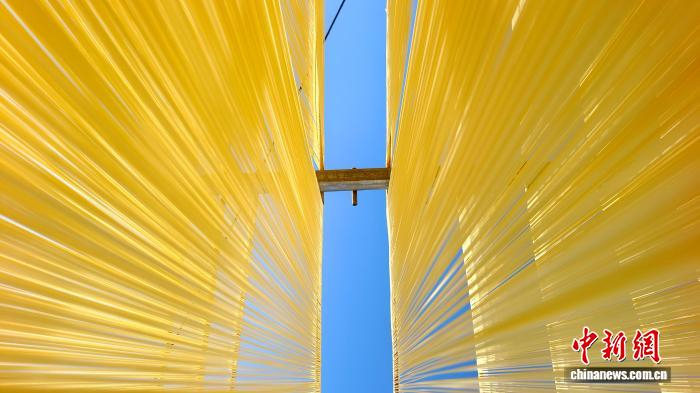 圖為1月初，甘肅隴南市徽縣永寧鎮(zhèn)綠鑫手工空心掛面農(nóng)民專業(yè)合作社內(nèi)晾曬手工掛面。何方 攝