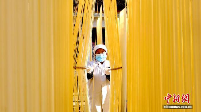 圖為1月初，甘肅隴南市徽縣永寧鎮(zhèn)綠鑫手工空心掛面農(nóng)民專業(yè)合作社內(nèi)，師傅們?cè)诹罆袷止烀?。何?攝