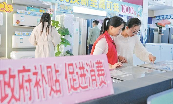     消费者在江苏省海安市墩头镇一家商场选购补贴家电（资料图片）。    新华社发（周强  摄）