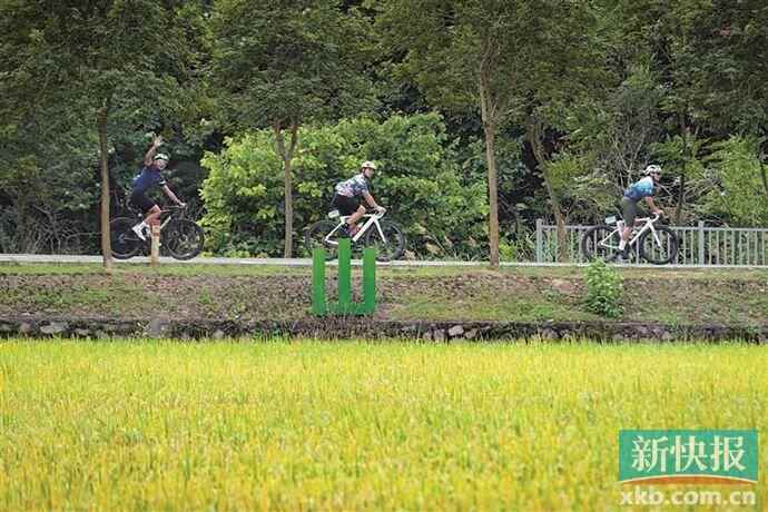 ■梯面五环步道骑行环线路线吸引自行车运动爱好者来打卡。 通讯员供图