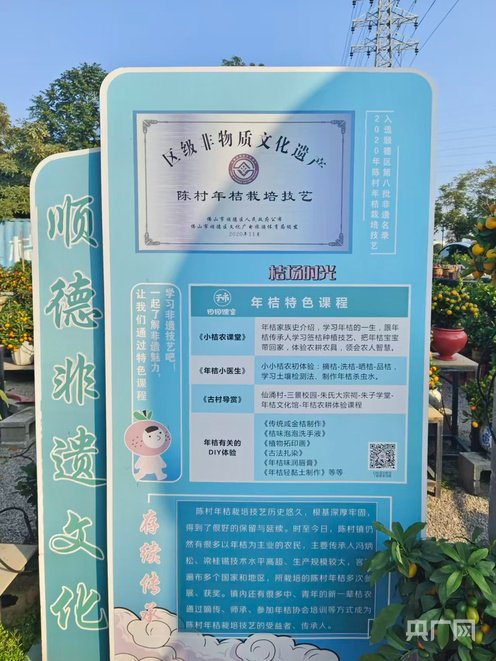 年桔特色課程（央廣網(wǎng)記者 鄭少純 攝）