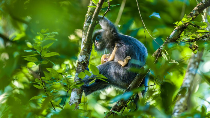 朱邊勇 攝。