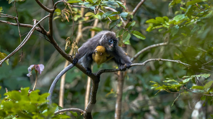 朱邊勇 攝。